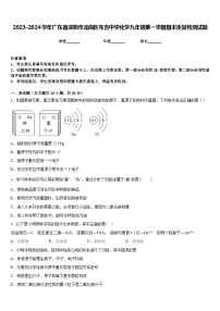 2023-2024学年广东省深圳市龙岗区布吉中学化学九年级第一学期期末质量检测试题含答案