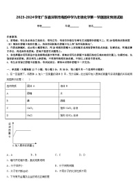 2023-2024学年广东省深圳市海韵中学九年级化学第一学期期末预测试题含答案