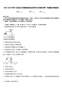 2023-2024学年广东省汕头市潮南区阳光实验学校九年级化学第一学期期末经典试题含答案