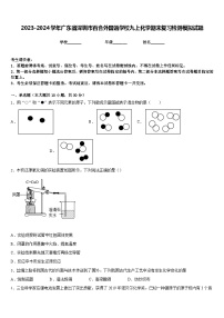 2023-2024学年广东省深圳市百合外国语学校九上化学期末复习检测模拟试题含答案