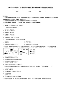 2023-2024学年广东省汕头市潮阳区化学九年级第一学期期末预测试题含答案