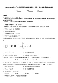 2023-2024学年广东省深圳市龙岗区南湾学校化学九上期末学业质量监测试题含答案