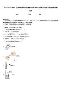 2023-2024学年广东省深圳市龙岗区德琳学校化学九年级第一学期期末质量跟踪监视试题含答案