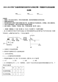 2023-2024学年广东省深圳市耀华实验学校九年级化学第一学期期末学业质量监测模拟试题含答案