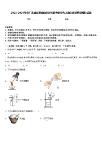 2023-2024学年广东省深圳南山区五校联考化学九上期末质量检测模拟试题含答案