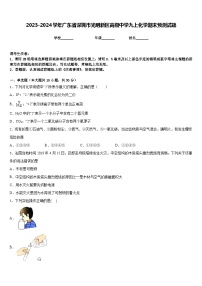 2023-2024学年广东省深圳市光明新区高级中学九上化学期末预测试题含答案