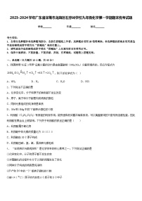 2023-2024学年广东省深圳市龙岗区石芽岭学校九年级化学第一学期期末统考试题含答案