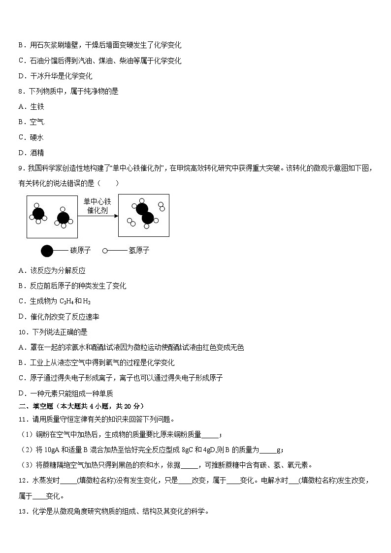 2023-2024学年广东省深圳市深圳中学化学九年级第一学期期末考试试题含答案第3页