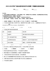 2023-2024学年广东省汕尾市名校化学九年级第一学期期末达标测试试题含答案