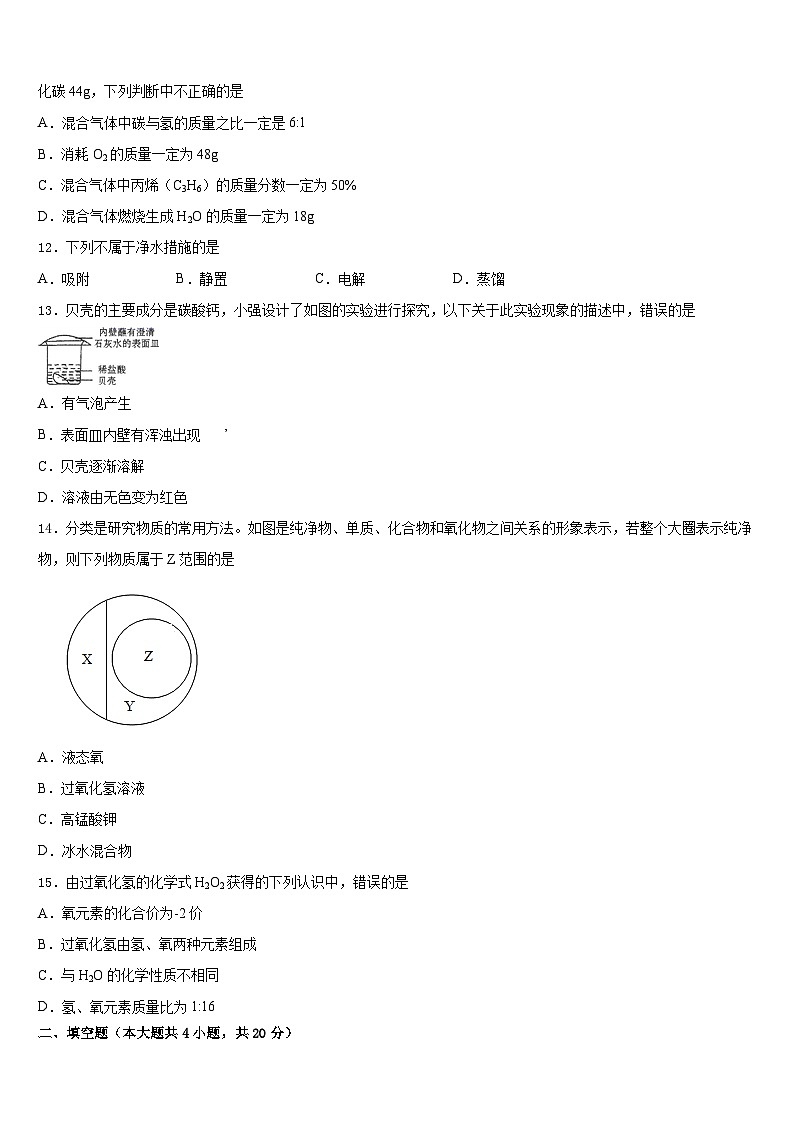2023-2024学年广安市重点中学九上化学期末质量跟踪监视试题含答案第3页