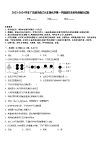 2023-2024学年广东韶关曲江九年级化学第一学期期末质量检测模拟试题含答案