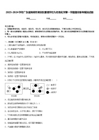 2023-2024学年广东省潮州市潮安区雅博学校九年级化学第一学期期末联考模拟试题含答案