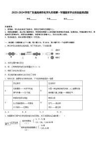 2023-2024学年广东省高州市化学九年级第一学期期末学业质量监测试题含答案