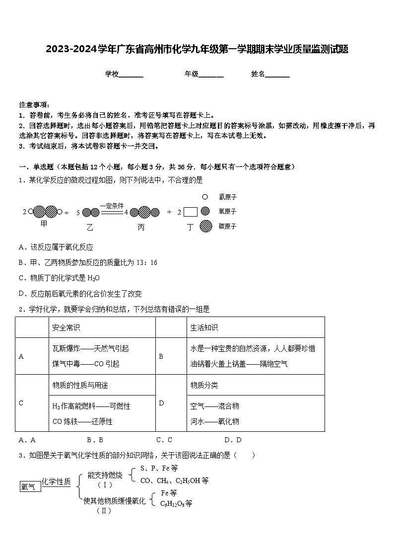 2023-2024学年广东省高州市化学九年级第一学期期末学业质量监测试题含答案01