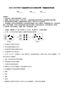 2023-2024学年广东省高州市九校九年级化学第一学期期末统考试题含答案