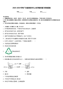 2023-2024学年广东省茂名市九上化学期末复习检测试题含答案