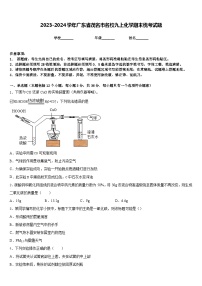 2023-2024学年广东省茂名市名校九上化学期末统考试题含答案