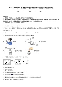 2023-2024学年广东省韶关市化学九年级第一学期期末质量检测试题含答案