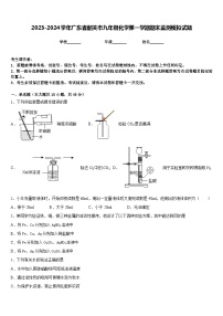 2023-2024学年广东省韶关市九年级化学第一学期期末监测模拟试题含答案