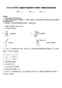 2023-2024学年广东省韶关市乳源县化学九年级第一学期期末达标测试试题含答案