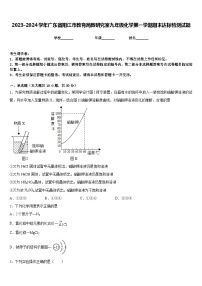 2023-2024学年广东省阳江市教育局教研究室九年级化学第一学期期末达标检测试题含答案