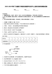 2023-2024学年广东省阳江市阳东区星重学校化学九上期末质量检测模拟试题含答案