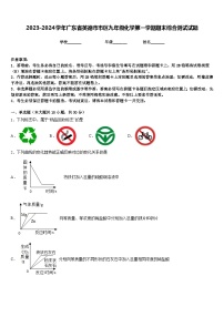 2023-2024学年广东省英德市市区九年级化学第一学期期末综合测试试题含答案