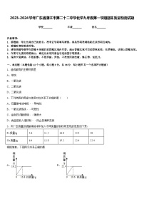 2023-2024学年广东省湛江市第二十二中学化学九年级第一学期期末质量检测试题含答案