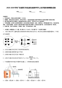 2023-2024学年广东省湛江市霞山职业高级中学九上化学期末调研模拟试题含答案