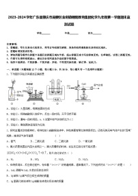 2023-2024学年广东省肇庆市高要区金利镇朝阳教育集团化学九年级第一学期期末监测试题含答案