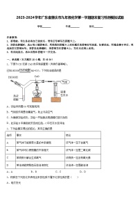 2023-2024学年广东省肇庆市九年级化学第一学期期末复习检测模拟试题含答案