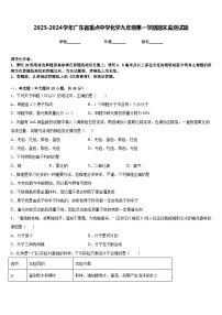 2023-2024学年广东省重点中学化学九年级第一学期期末监测试题含答案