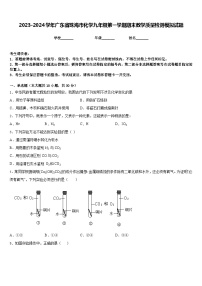 2023-2024学年广东省珠海市化学九年级第一学期期末教学质量检测模拟试题含答案