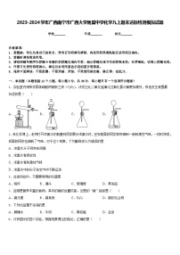 2023-2024学年广西南宁市广西大学附属中学化学九上期末达标检测模拟试题含答案