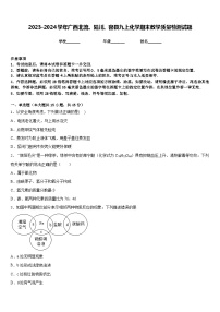 2023-2024学年广西北流、陆川、容县九上化学期末教学质量检测试题含答案