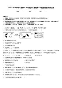 2023-2024学年广西南宁二中学化学九年级第一学期期末复习检测试题含答案