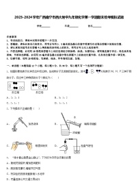 2023-2024学年广西南宁市西大附中九年级化学第一学期期末统考模拟试题含答案