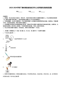 2023-2024学年广西壮族自治区崇左市九上化学期末达标测试试题含答案