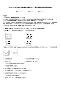 2023-2024学年广州省惠阳市惠城区九上化学期末达标检测模拟试题含答案