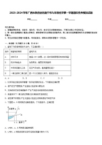 2023-2024学年广西壮族自治区南宁市九年级化学第一学期期末统考模拟试题含答案