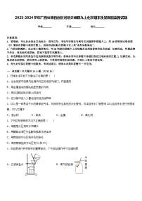 2023-2024学年广西壮族自治区河池天峨县九上化学期末质量跟踪监视试题含答案