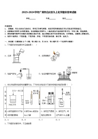 2023-2024学年广州市白云区九上化学期末统考试题含答案