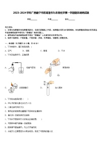 2023-2024学年广西南宁市防城港市九年级化学第一学期期末调研试题含答案