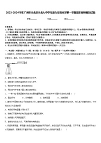 2023-2024学年广州市从化区从化七中学年度九年级化学第一学期期末调研模拟试题含答案