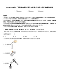 2023-2024学年广州市重点中学化学九年级第一学期期末综合测试模拟试题含答案