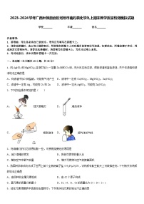 2023-2024学年广西壮族自治区河池市南丹县化学九上期末教学质量检测模拟试题含答案