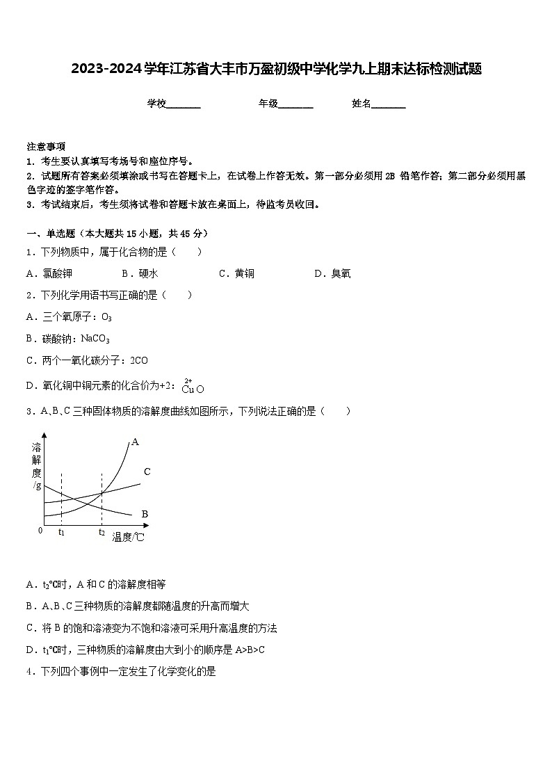 2023-2024学年江苏省大丰市万盈初级中学化学九上期末达标检测试题含答案01