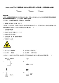 2023-2024学年江苏省姜堰市励才实验学校化学九年级第一学期期末联考试题含答案