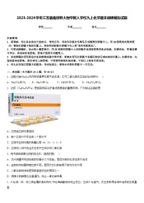 2023-2024学年江苏省南京师大附中树人学校九上化学期末调研模拟试题含答案