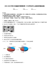 2023-2024学年江苏省南京市鼓楼区第二十九中学化学九上期末联考模拟试题含答案